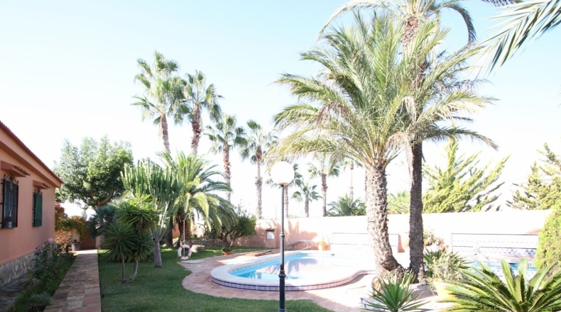 Alicante - Torrevieja - 2000m2