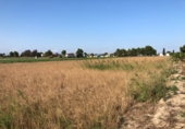 Land suitable for development for sale on España, Dolores, ref: TR9908 photo