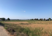 Land suitable for development for sale on España, Dolores, ref: TR9908 photo