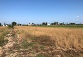 Land suitable for development for sale on España, Dolores, ref: TR9908 photo