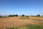 Land suitable for development for sale on España, Dolores, ref: TR9908 photo