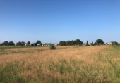 Land suitable for development for sale on España, Dolores, ref: TR9908 photo