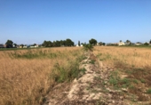 Land suitable for development for sale on España, Dolores, ref: TR9908 photo