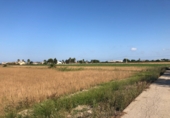 Land suitable for development for sale on España, Dolores, ref: TR9908 photo
