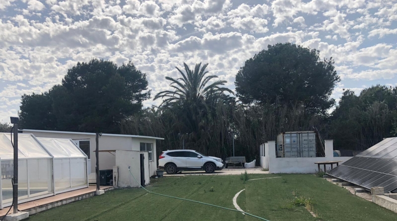 Alicante - Rojals - 4800m2