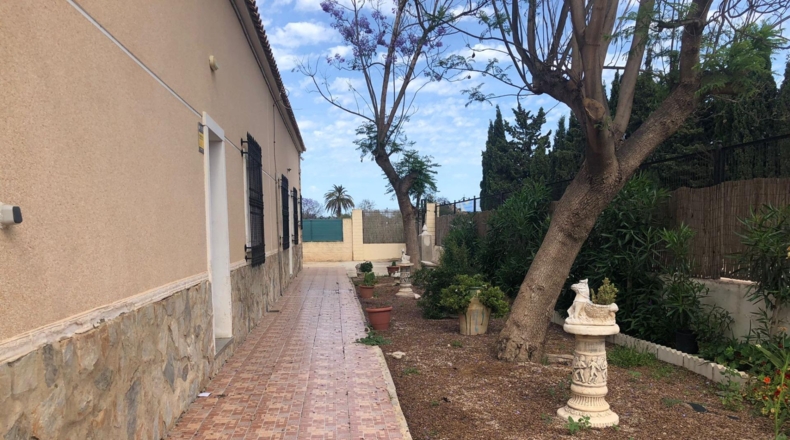 Alicante - Rojals - 4800m2