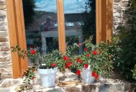 Foto 19