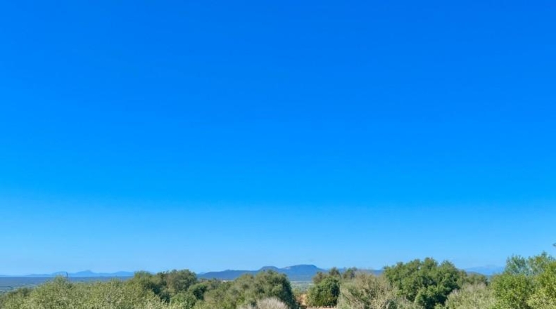Illes Balears - Campos - 17500m2