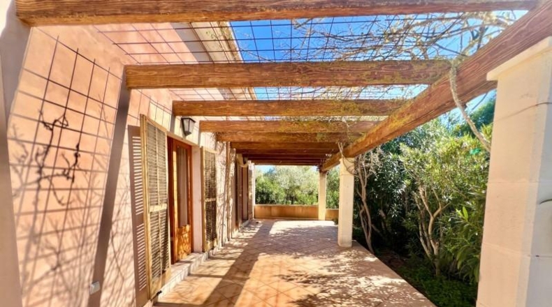 Illes Balears - Campos - 17500m2
