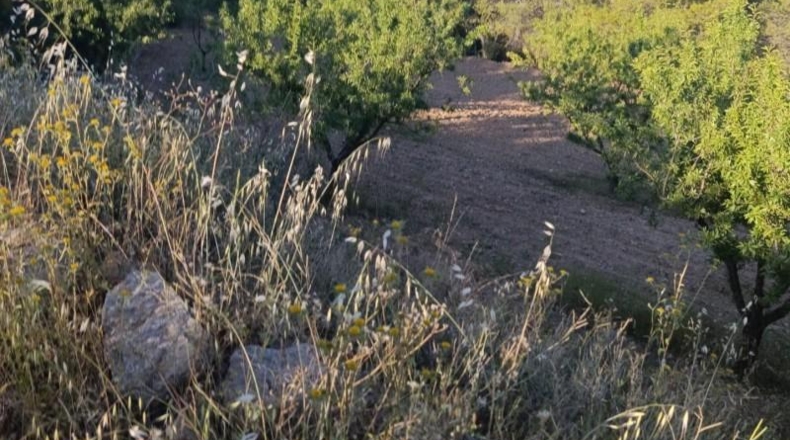 Murcia - Cehegín - 18511m2