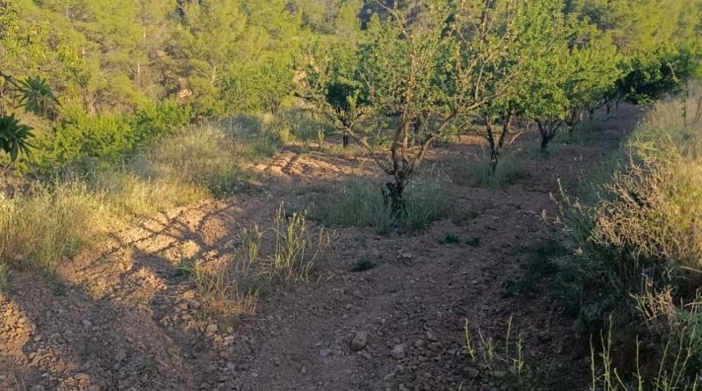 Murcia - Cehegín - 18511m2