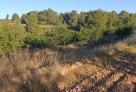 Cehegín 18511&nbsp;m²