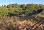 Terreny no urbanitzable en venda a la España, Cehegín, ref.: TR411752 foto