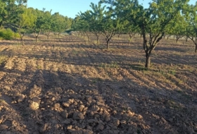 Cehegín 18511&nbsp;m²