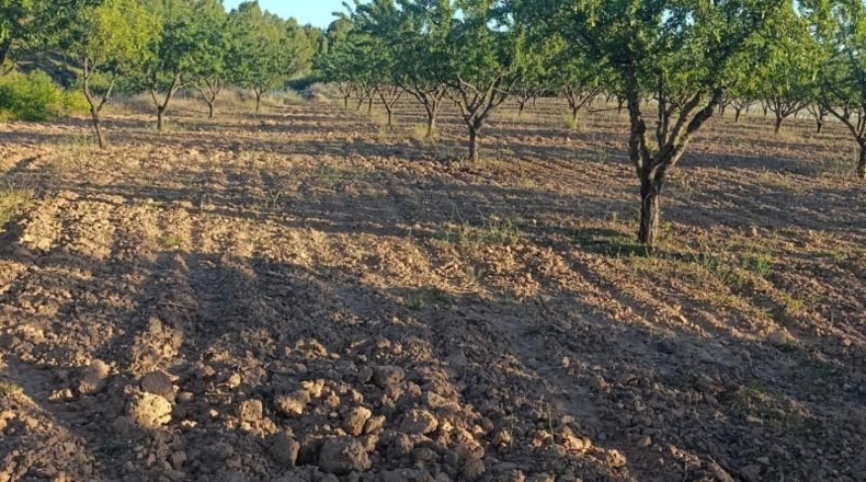 Murcia - Cehegín - 18511m2