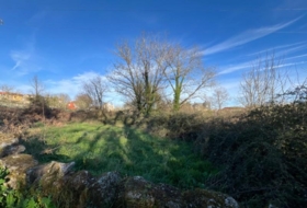 Foto 10