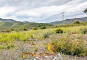 Parcela urbanizable en venta en la España, Cabanes, ref: TR411073 foto