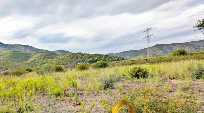 Castellón - Cabanes - 11613m2