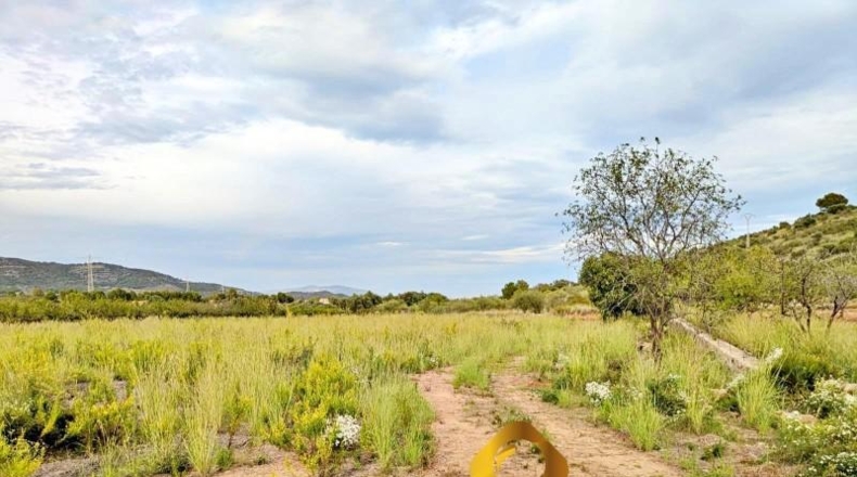 Castellón - Cabanes - 11613m2