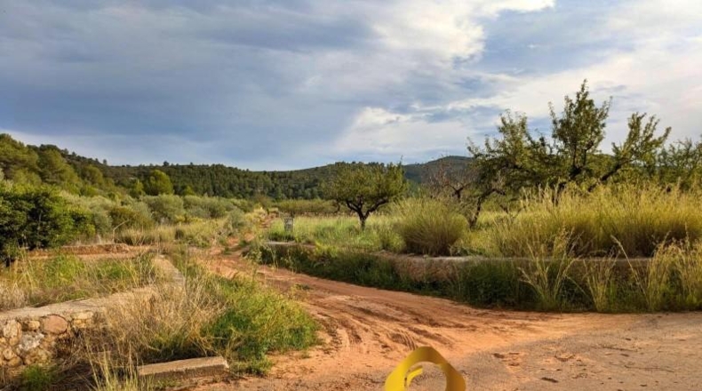 Castellón - Cabanes - 11613m2