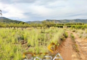 Parcela urbanizable en venta en la España, Cabanes, ref: TR411073 foto