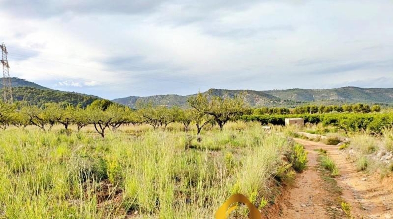 Castellón - Cabanes - 11613m2
