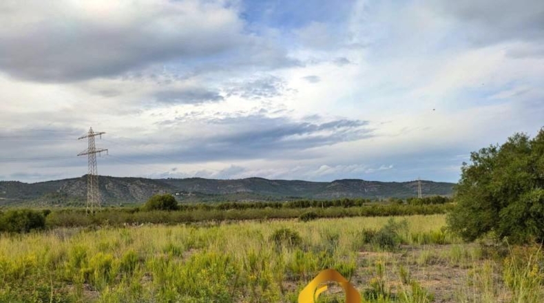 Castellón - Cabanes - 11613m2