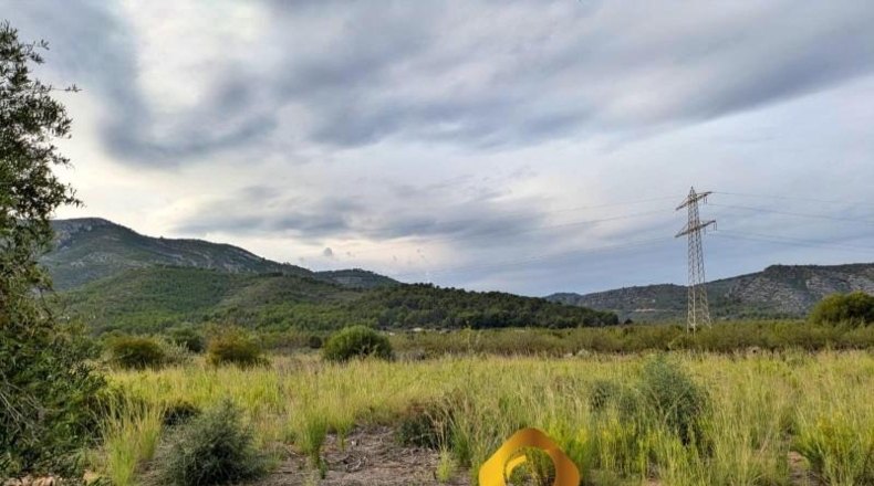 Castellón - Cabanes - 11613m2