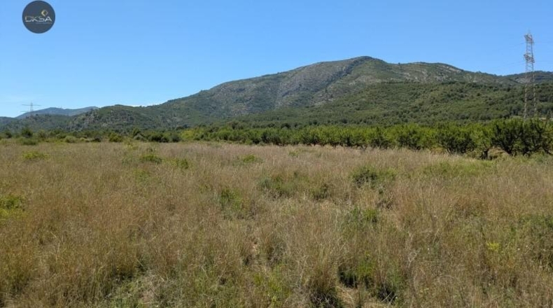Castellón - Cabanes - 11613m2