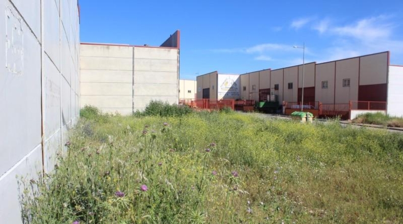 Toledo - Escalonilla - 553m2