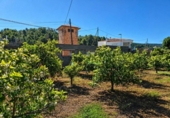 Terreno no urbanizable en venta en la España, La Font d'en Carròs, ref: TR411760 foto