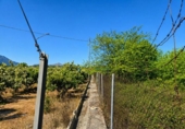 Terreno no urbanizable en venta en la España, La Font d'en Carròs, ref: TR411760 foto