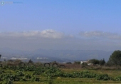 Country house with land for sale on España, Benigànim, ref: TR312404 photo