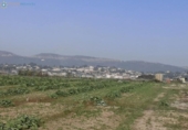 Country house with land for sale on España, Benigànim, ref: TR312404 photo