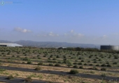 Country house with land for sale on España, Benigànim, ref: TR312404 photo