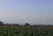 Country house with land for sale on España, Benigànim, ref: TR312404 photo