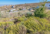 Casa amb terreny en venda a la España, La Zubia, ref.: TR274339 foto