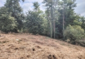 Non-developable land for sale on España, Vilar, ref: TR411761 photo