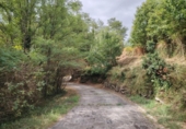 Non-developable land for sale on España, Vilar, ref: TR411761 photo