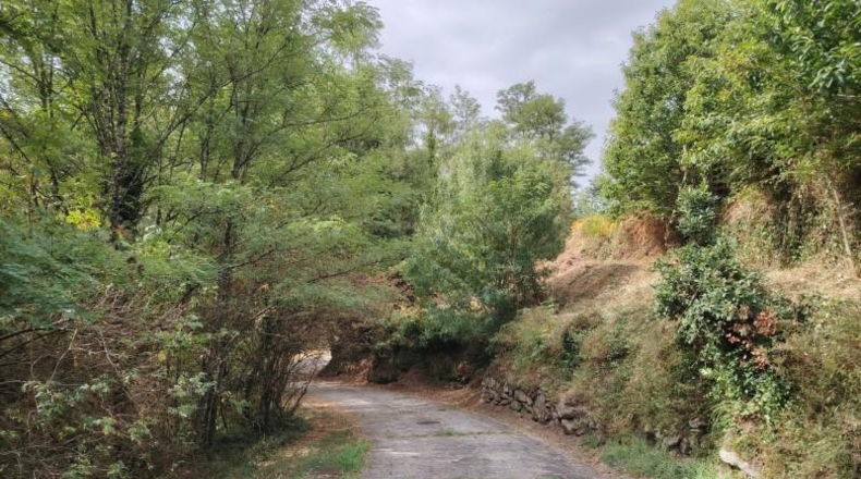 La Coruña - Vilar - 847m2