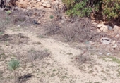 Xalet independent amb terreny en venda a la España, Arico el Nuevo, ref.: TR404339 foto