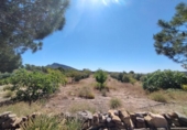 Country house with land for sale on España, Abanilla, ref: TR411762 photo