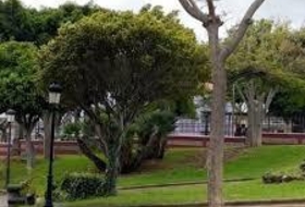 Foto 6
