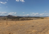 Non-developable land for sale on España, Villa de Otura, ref: TR408516 photo
