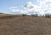 Non-developable land for sale on España, Villa de Otura, ref: TR408516 photo