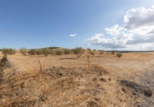 Non-developable land for sale on España, Villa de Otura, ref: TR408516 photo