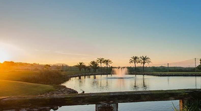 Alicante - Monforte del Cid - 834m2