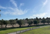 Urban land for sale on España, Monforte del Cid, ref: TR403291 photo