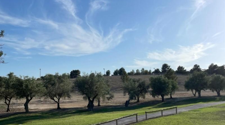 Alicante - Monforte del Cid - 834m2