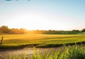 Urban land for sale on España, Monforte del Cid, ref: TR403291 photo